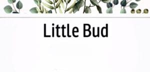 Thetford Bubbly Hub what's on and events Little Bud
