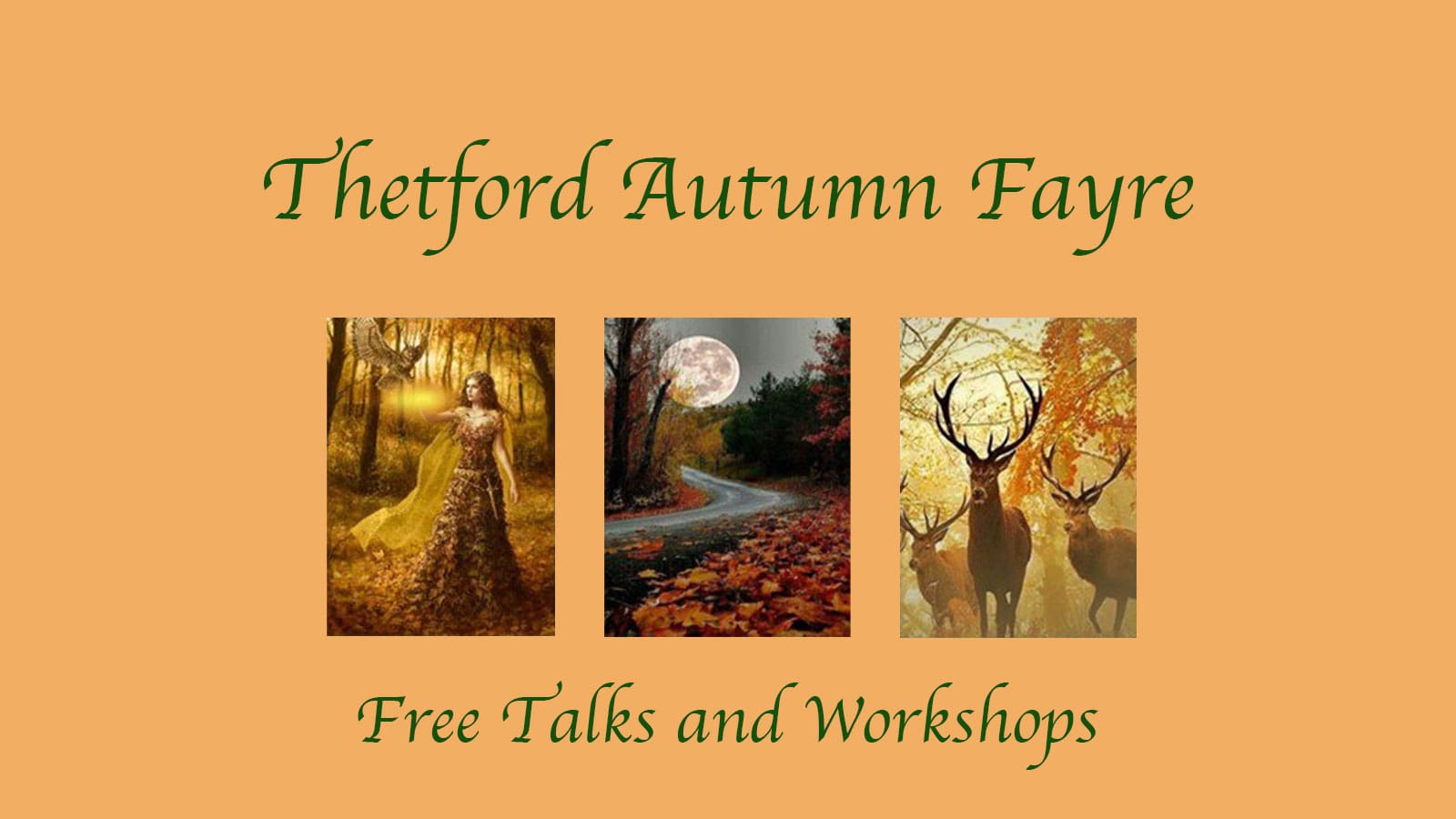 Thetford Bubbly Hub What's On and Events Autumn Fayre