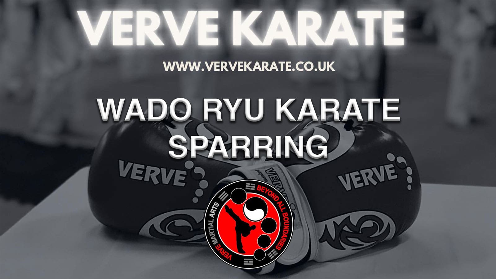 Thetford Bubbly Hub What's On and Events Verve Karate Sparring