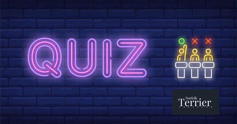 Thetford Bubbly Hub What's On and Events Norfolk Terrier Quiz Night