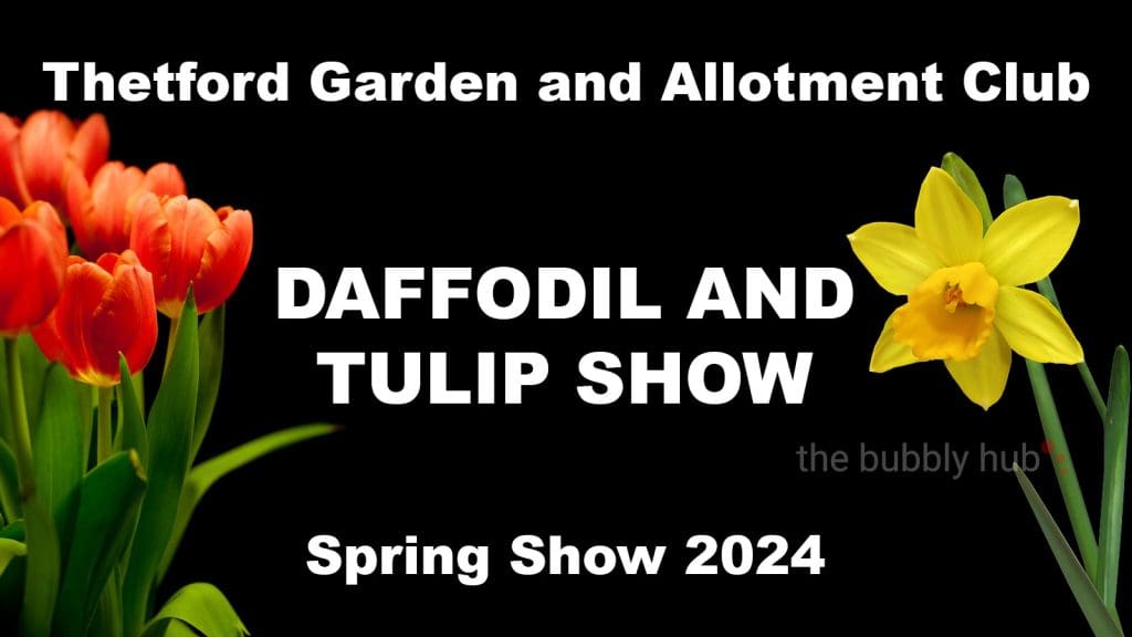 Spring Show 2024 Thetford Bubbly Hub