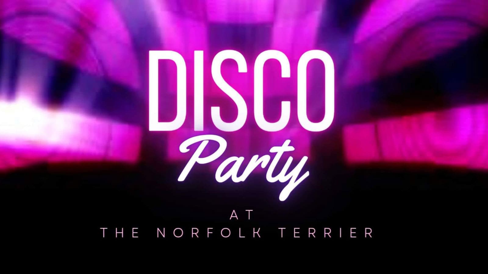 Thetford Bubbly Hub what's on and events Terrier Disco Party