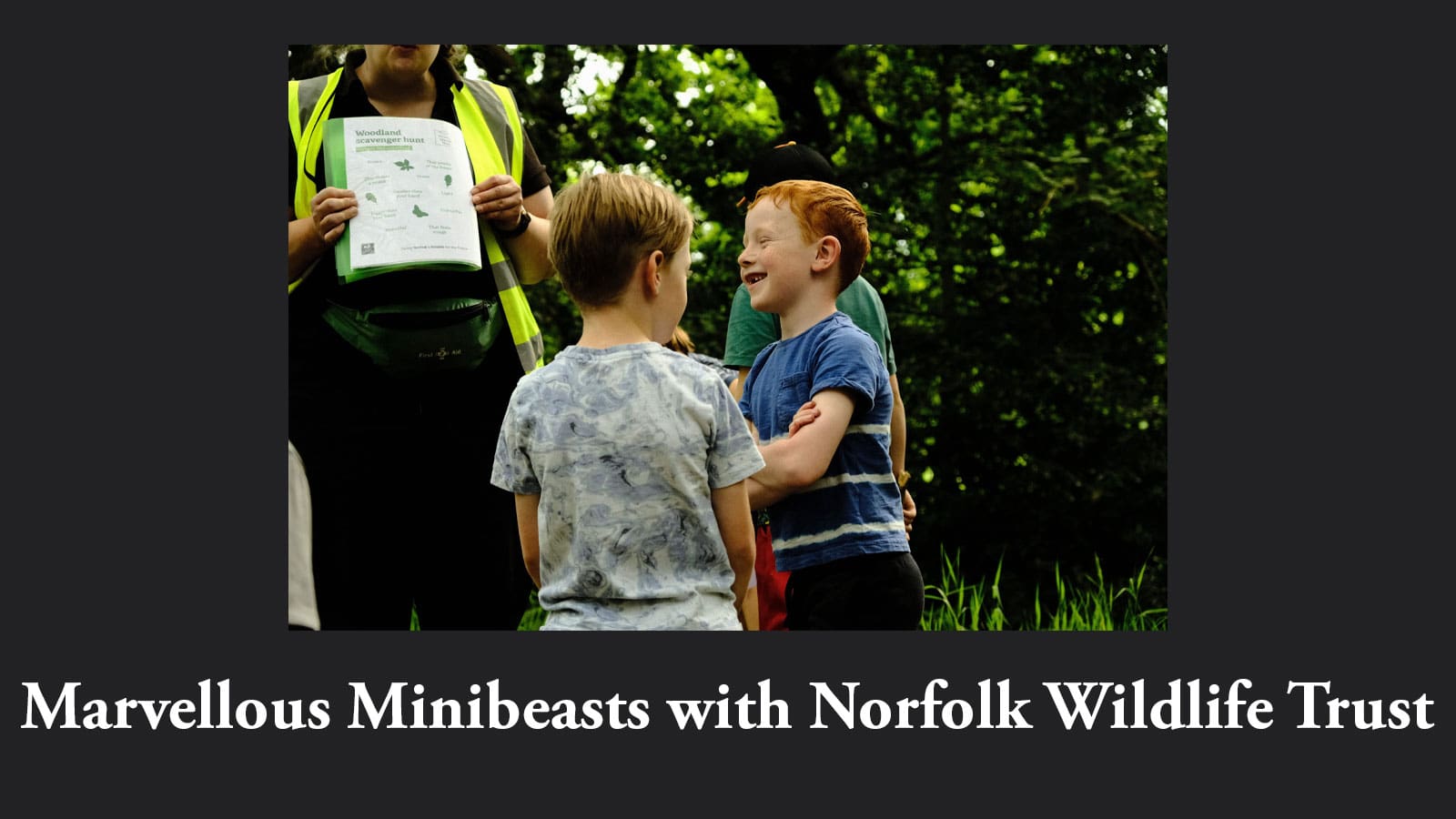 Thetford Bubbly Hub what's on and events Marvellous Minibeasts Norfolk Wildlife Trust