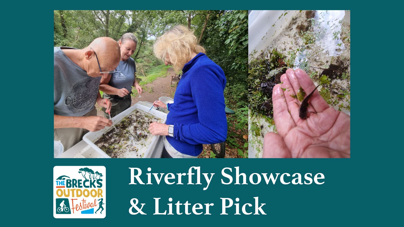 Thetford Bubbly Hub what's on and events The Brecks Riverfly Showcase Litter Pick