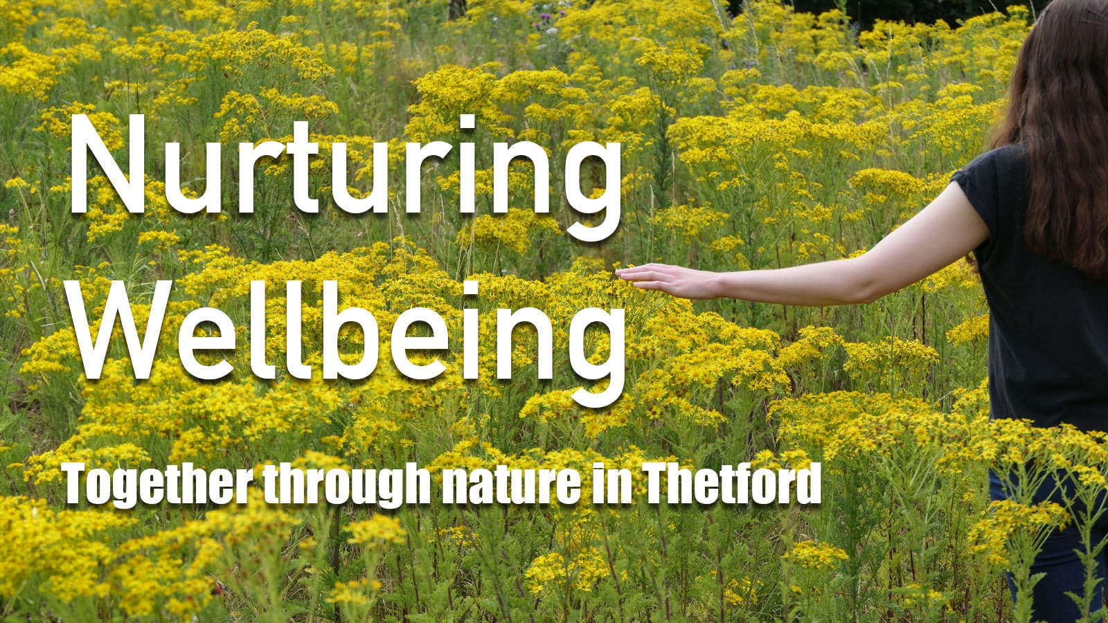 Thetford Bubbly Hub what's on and events sound and sound BTO Nurturing Wellbeing