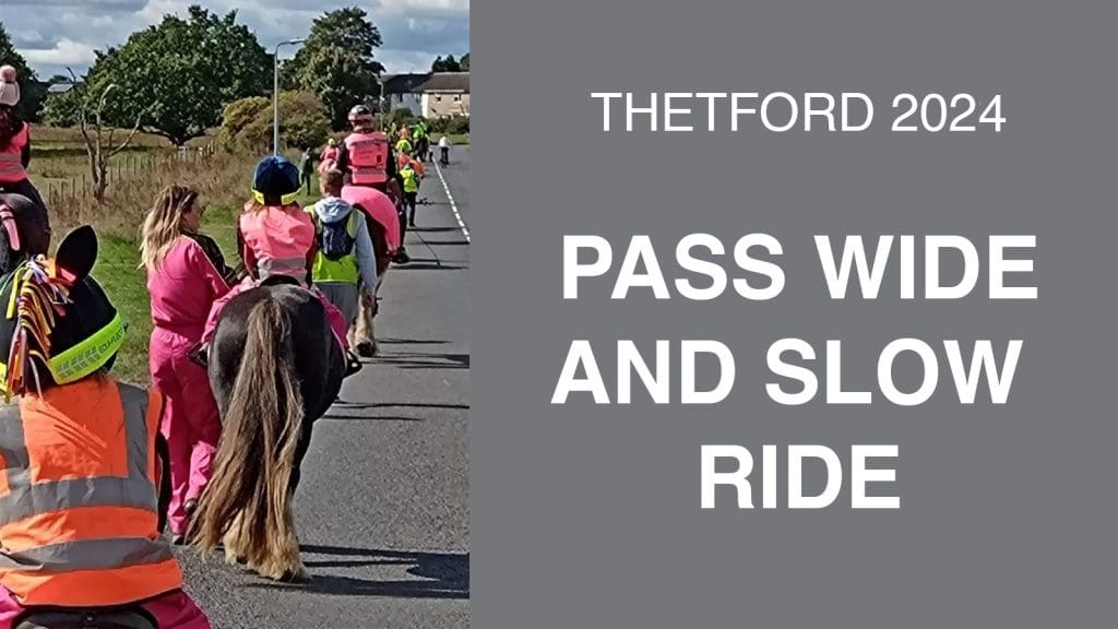 Thetford Bubbly Hub What's On and Events Thetford Pass Wide and Slow Norfolk Nutty Nags