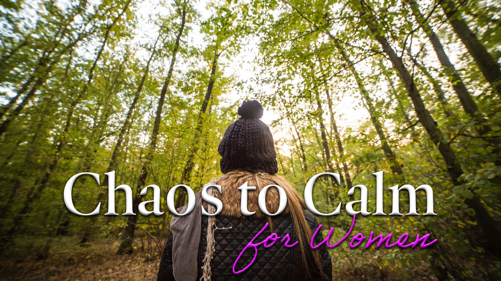 Thetford BubblyHub what's on and events From Chaos to Calm Women's Forest Walk and Talk