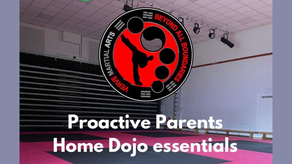 Thetford Bubbly Hub what's on and events Proactive Parents Home Dojo Workshop