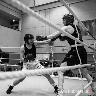 20240428-Boxing-2024-1274