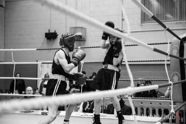 20240428-Boxing-2024-1336