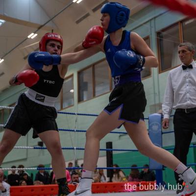 20240428-Boxing-2024-1380