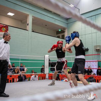 20240428-Boxing-2024-1525