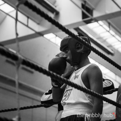 20240428-Boxing-2024-171