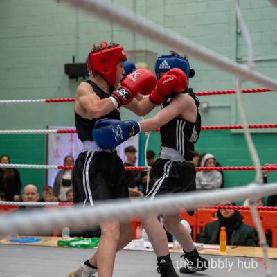 20240428-Boxing-2024-634